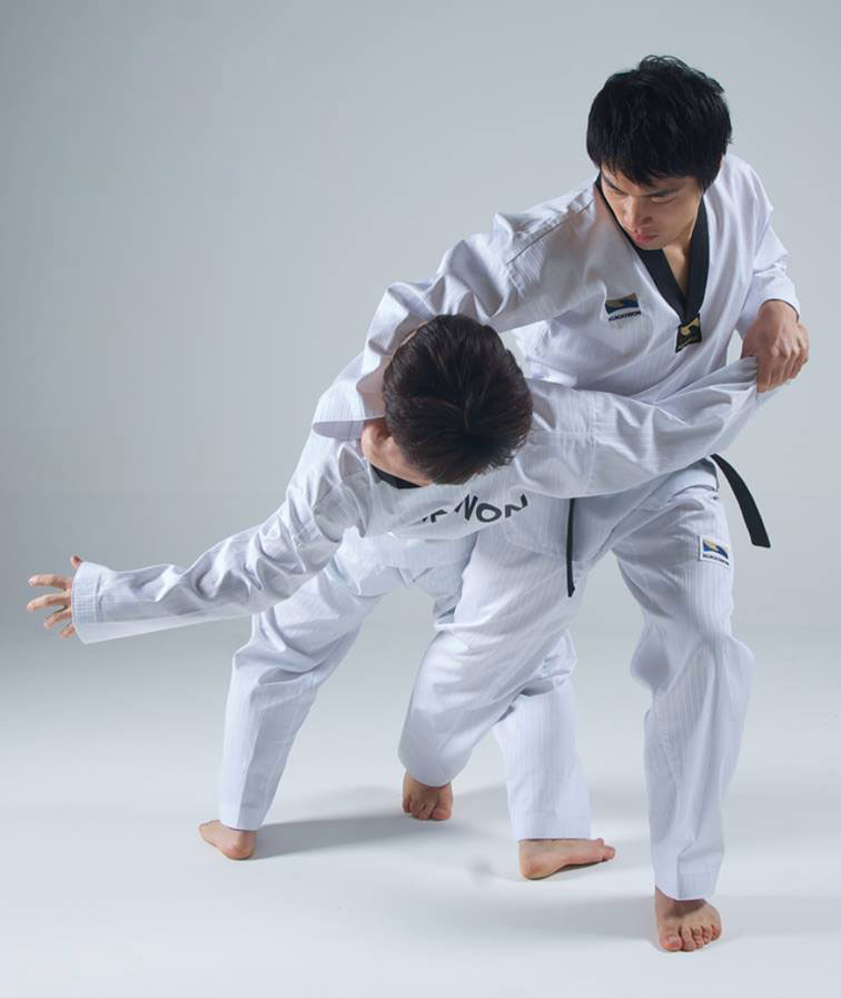 Taekwondo disciplines