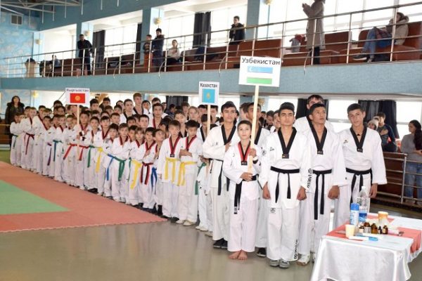 Cup the Taekwondo (WT) Academy of the Kyrgyz Republic 2016