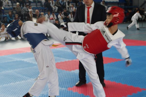 Open International Championship of the Southern Region of the Kyrgyz Republic