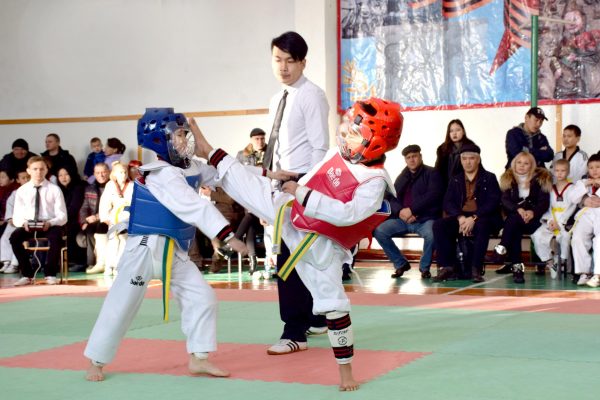 Superiority of the RC of the SMOR “Zhashtyk” in Taekwondo (WT) dedicated to the Day of Defenders of the Fatherland