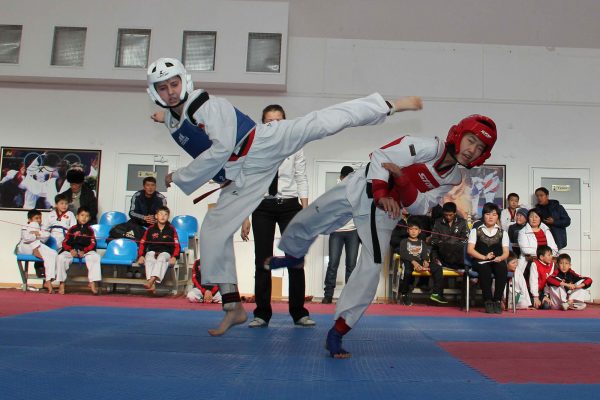 Taekwondo Championship Specialized Children’s and Junior Olympic Reserve School