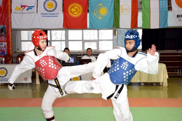 “Cup of the Taekwondo Academy of the Kyrgyz Republic” – 2016