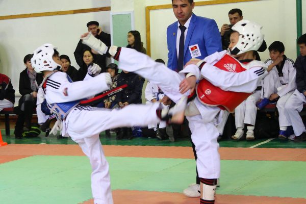 “Cup of the Taekwondo Academy of the Kyrgyz Republic” -2015
