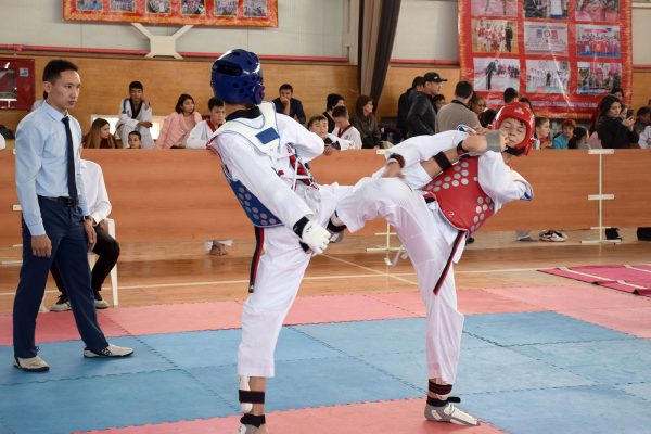 International Tournament for the “Cup of the Taekwondo Academy of the Kyrgyz Republic” – 2017