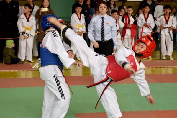 Open Taekwondo Championship of the Directorate of School and Student Sport – 2018