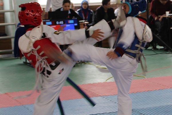 Students of the Taekwondo Academy of the Kyrgyz Republic took the first team place at the International tournament in Almaty city