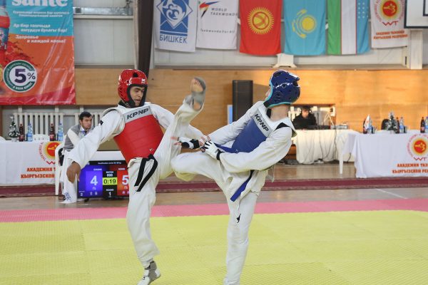 5-th Anniversary of the Taekwondo Academy of the Kyrgyz Republic – International Tournament