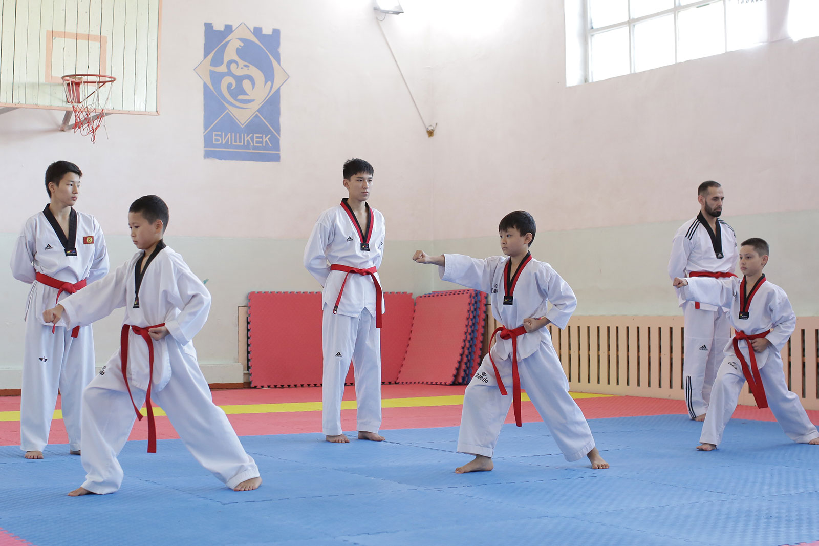 International Black Belt Exam | Official website of the Taekwondo WT Academy of the Kyrgyz Republic