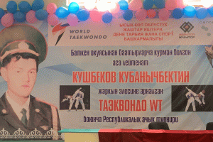 В Джеты-Огузе прошел чемпионат Иссык-Кульской области по Всемирному таэквондо