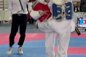 An international taekwondo tournament was held in the city of Kyzyl-Kiya