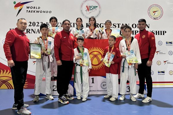 International championship of the southern region of the Kyrgyz Republic in Olympic Taekwondo 2023