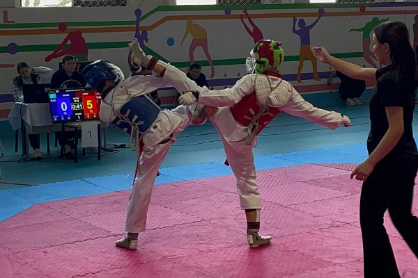International tournament in Almaty for the Cup “FLY TAEKWONDO 2024”