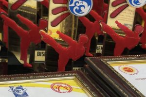 Bishkek city taekwondo championship 