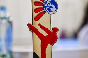 Bishkek city taekwondo championship 